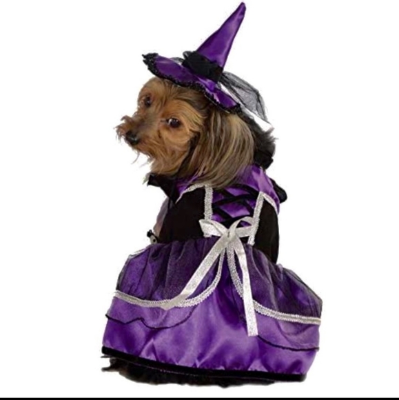 Rubie's Other - New Rubie’s Pet Shop Boutique Purple Witch Costume Size S